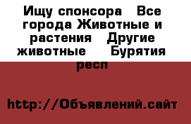 Ищу спонсора - Все города Животные и растения » Другие животные   . Бурятия респ.